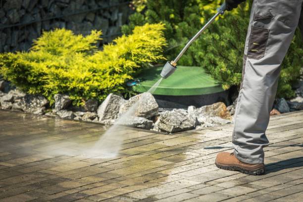 Best Sidewalk and Walkway Cleaning  in Huntley, IL