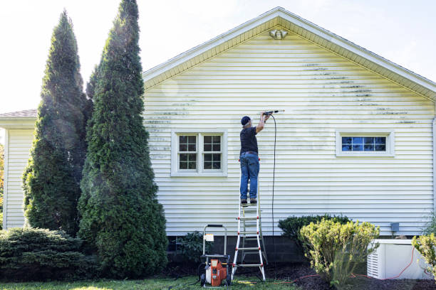 Best Solar Panel Cleaning  in Huntley, IL